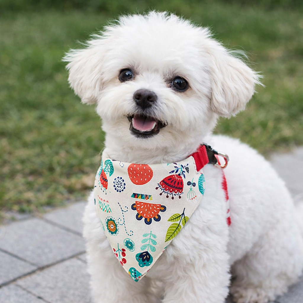 Pet Bandana Scarf Adjustable Dog Collar