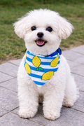 Pet Bandana Scarf Adjustable Dog Collar