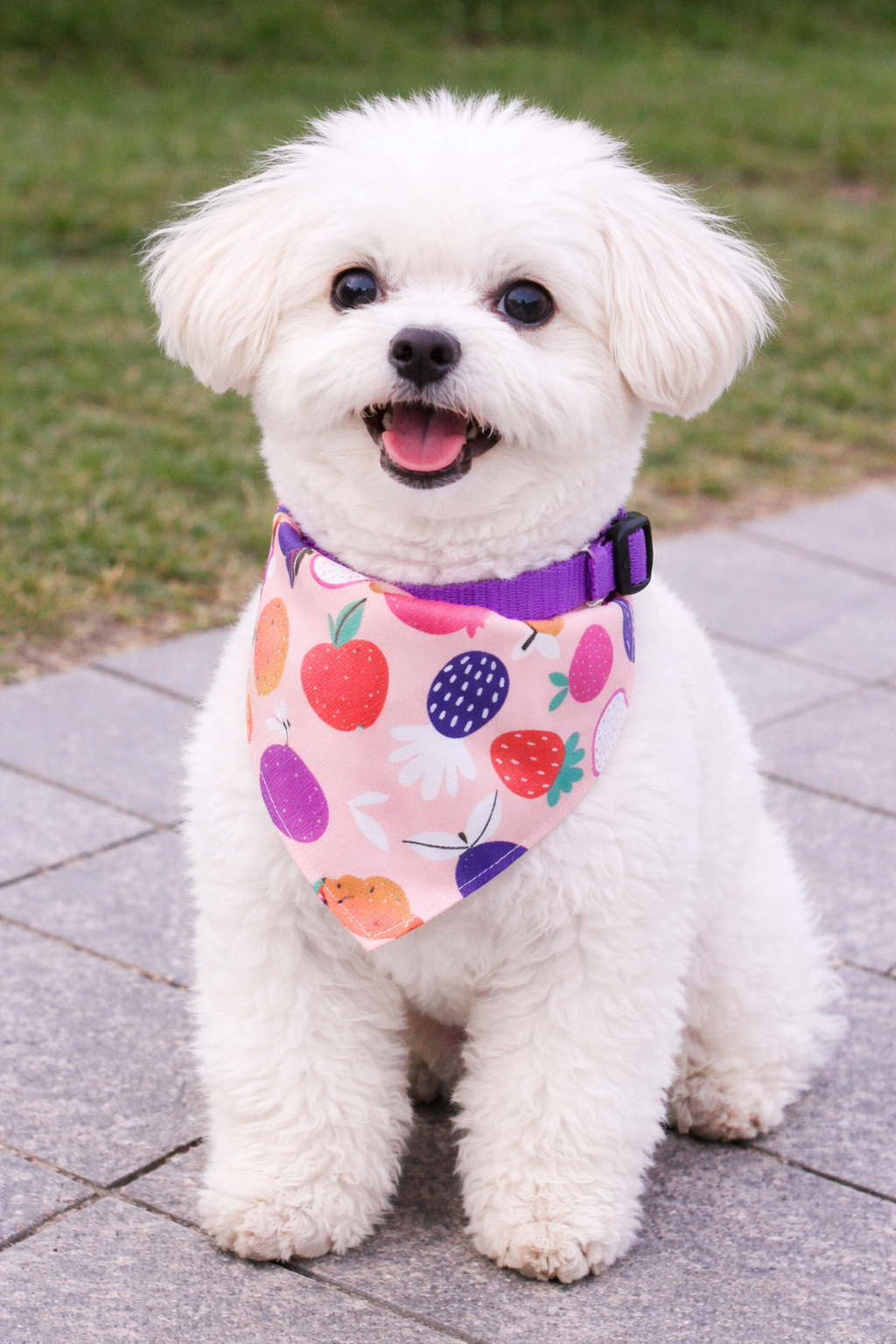 Pet Bandana Scarf Adjustable Dog