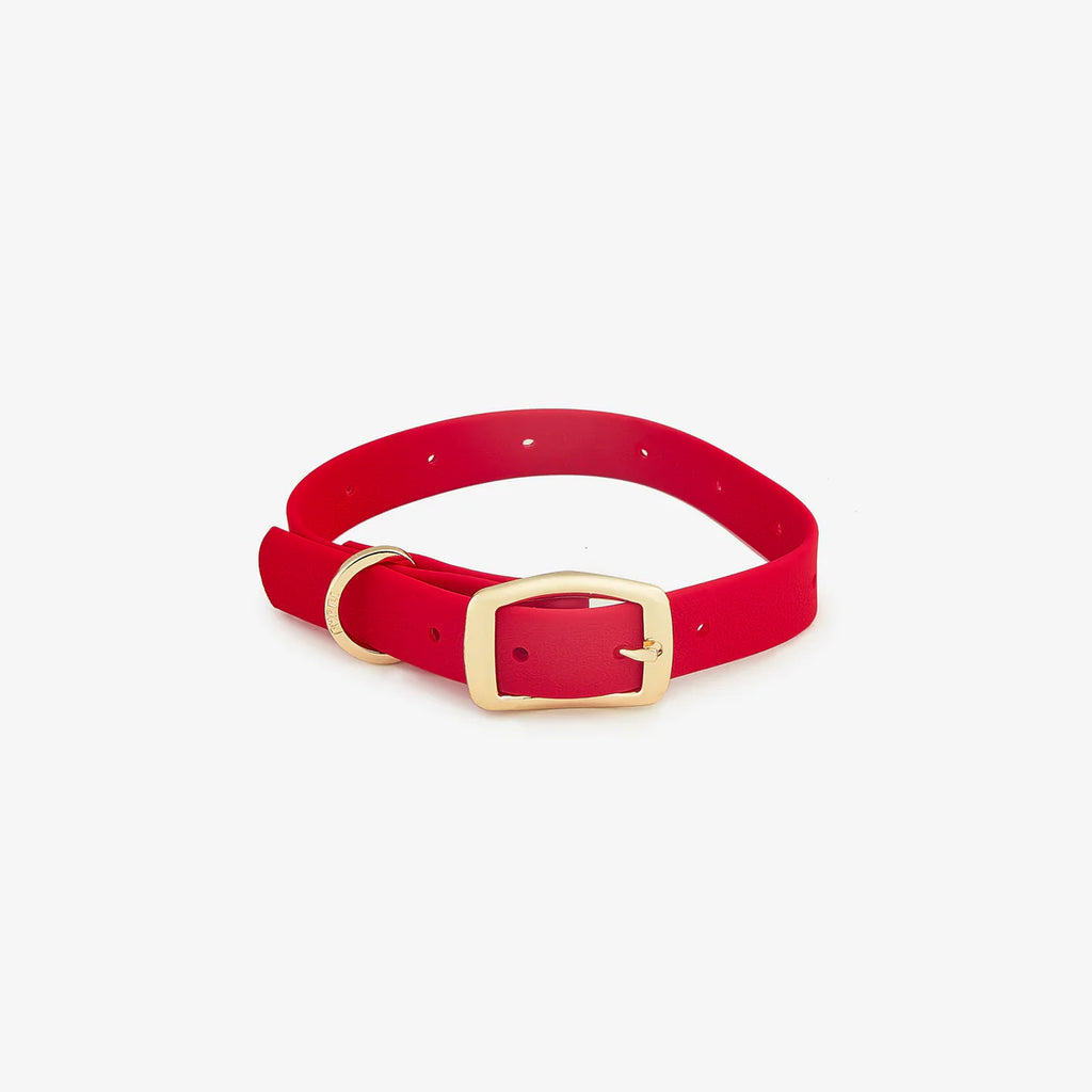 Custom Dog Collars with Charms