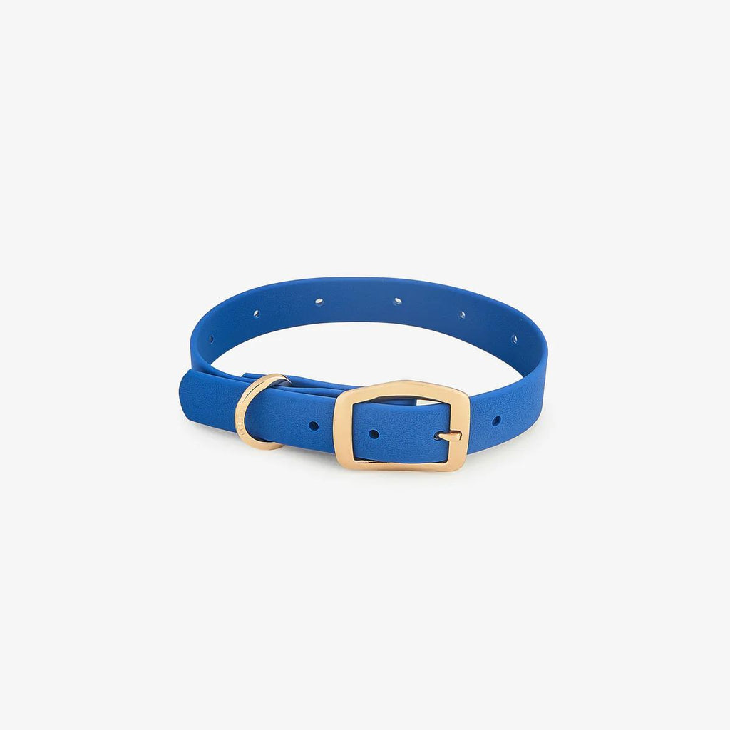 Custom Dog Collars with Charms