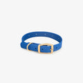 Custom Dog Collars with Charms