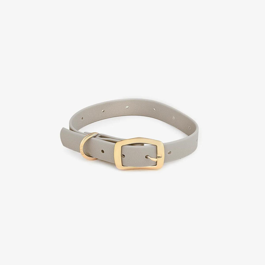 Custom Dog Collars with Charms
